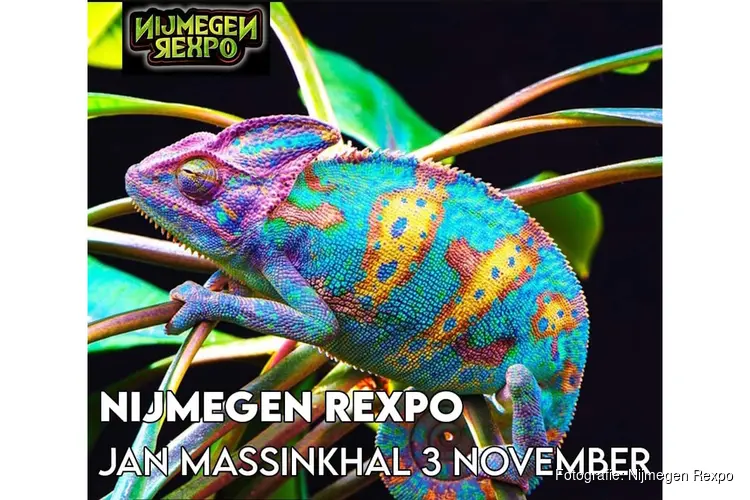 Nijmegen Rexpo